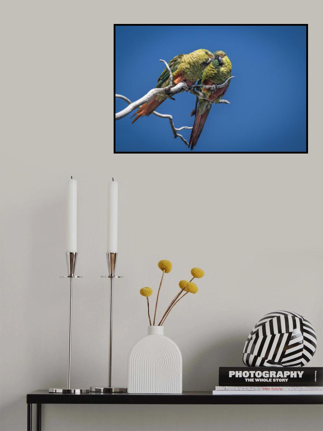 Patagonian burrowing parrot Poster och Canvastavla
