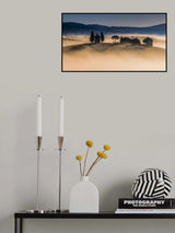 Foggy dawn in Val d'Orcia Poster och Canvastavla