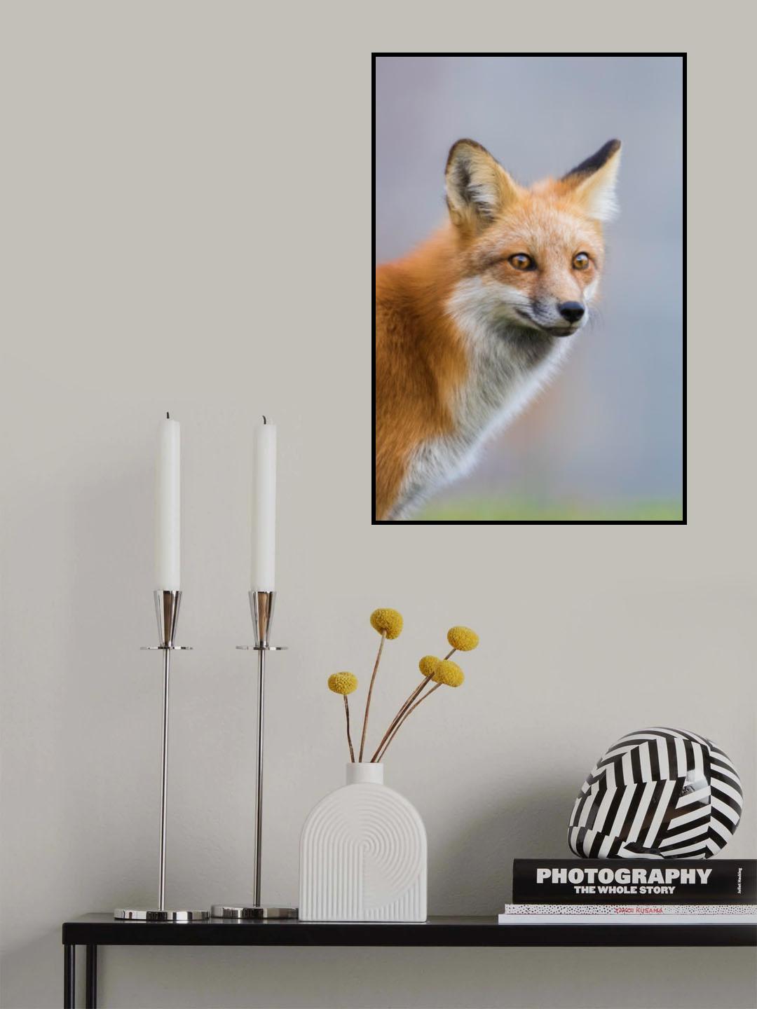 Fox Portrait Poster och Canvastavla