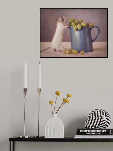 Snoozy loves grapes Poster och Canvastavla