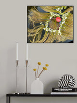 Waterlily being washed Poster och Canvastavla