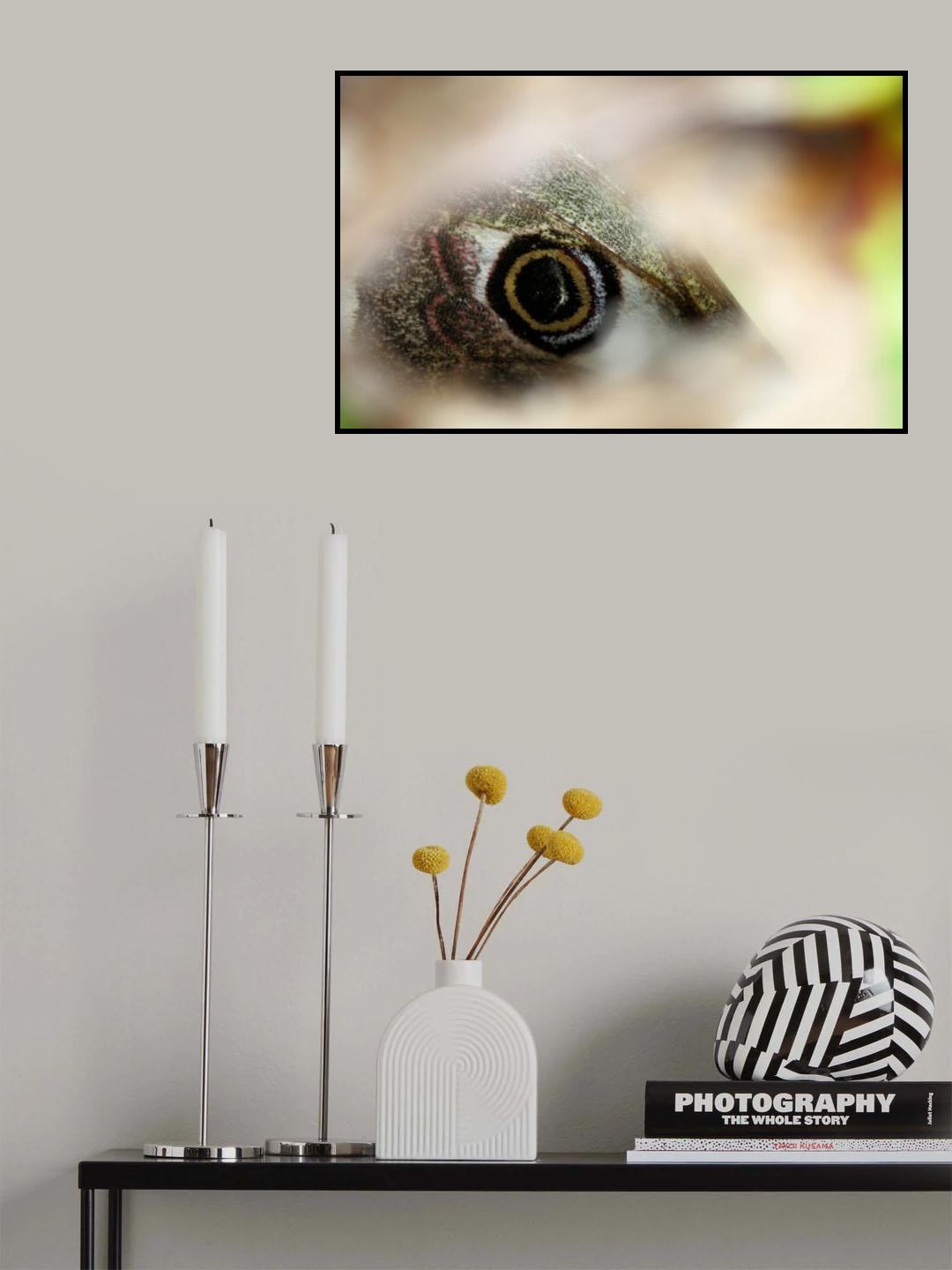 Eyespot Poster och Canvastavla
