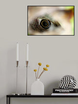 Eyespot Poster och Canvastavla