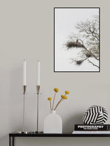 Look Poster och Canvastavla