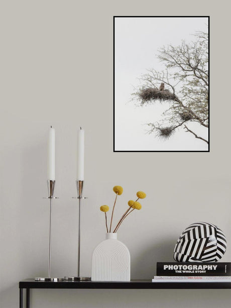 Look Poster och Canvastavla