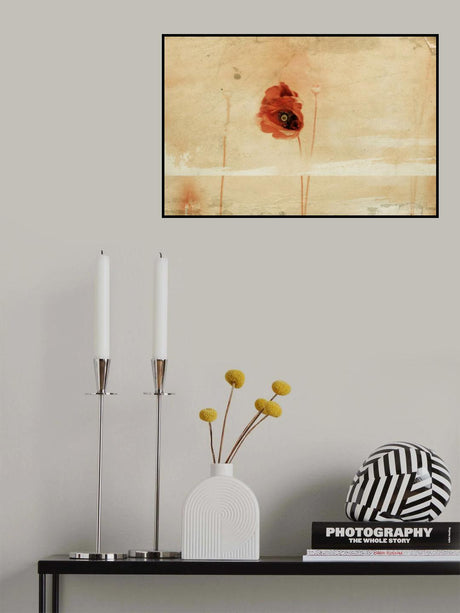 fragment Poster och Canvastavla