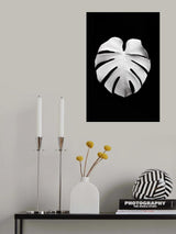Monstera White 04 Poster och Canvastavla