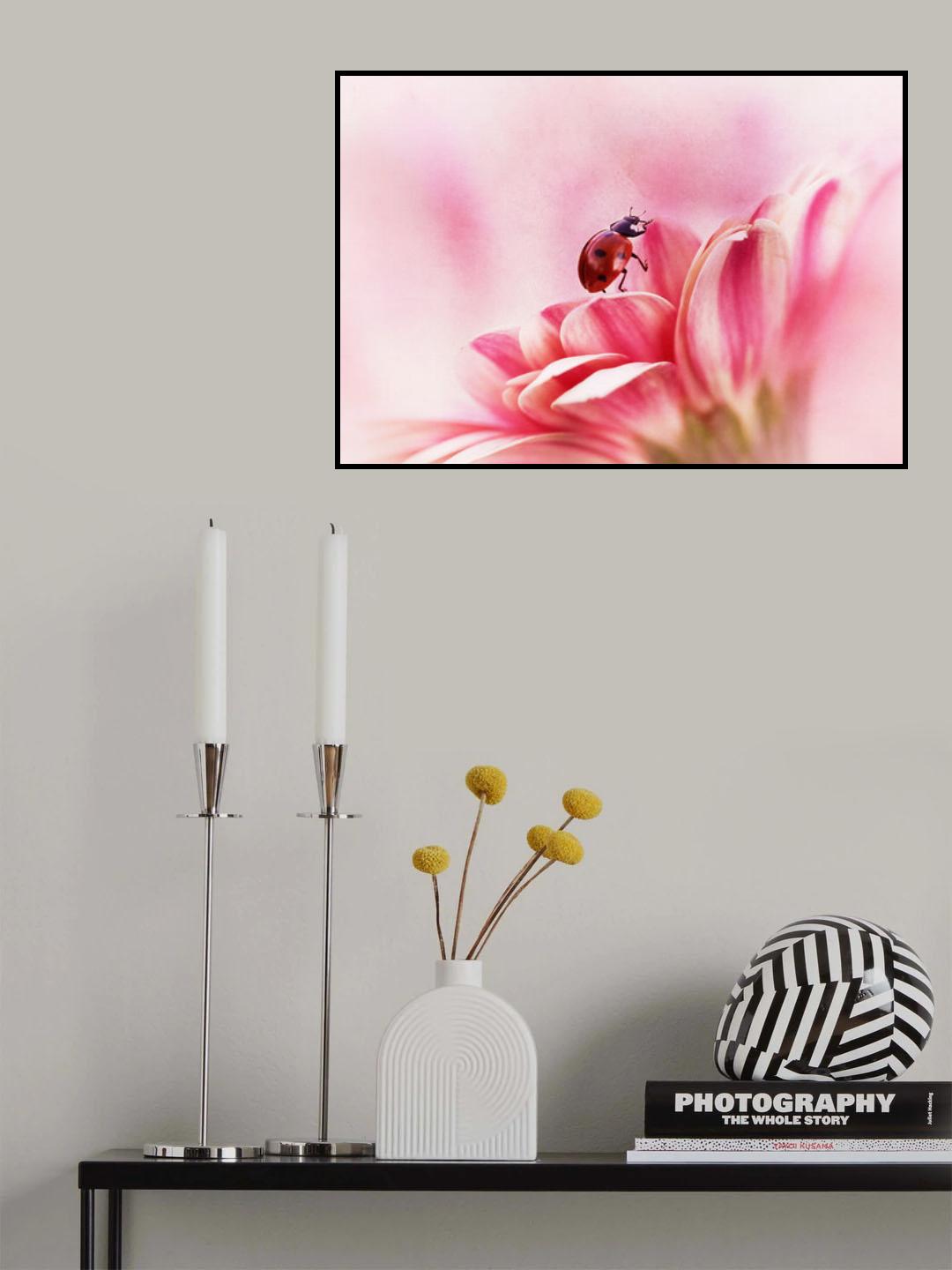 Ladybird on Gerbera Poster och Canvastavla
