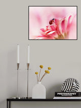 Ladybird on Gerbera Poster och Canvastavla