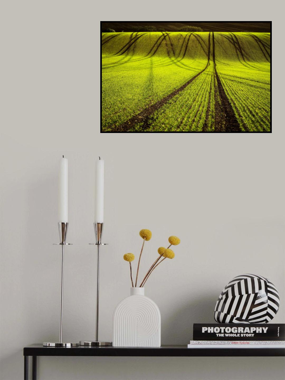 Tracks Poster och Canvastavla