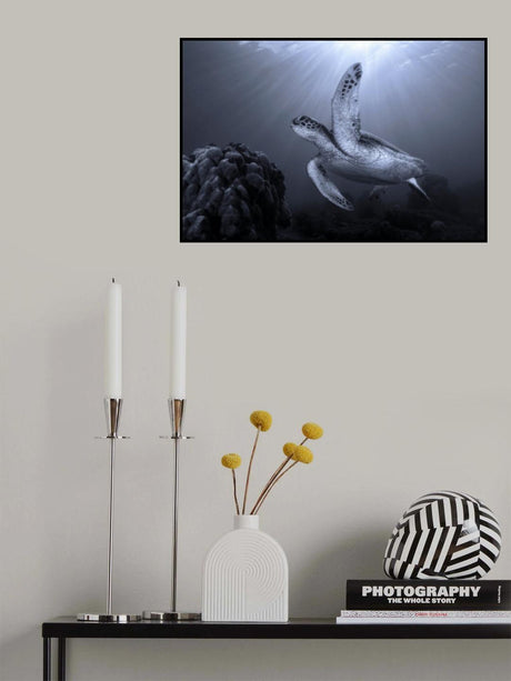 On the reef Poster och Canvastavla