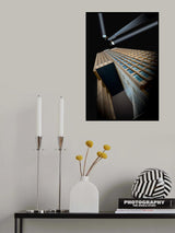 ... two spots Poster och Canvastavla