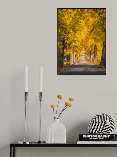 Narrow tree avenue Poster och Canvastavla