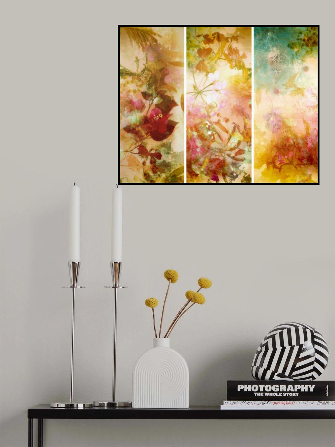 Flower abstractions  with mimosa, shells ,bougainvillea  floating in water.. Trilogy . Poster och Canvastavla