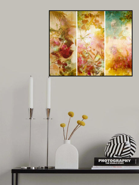 Flower abstractions  with mimosa, shells ,bougainvillea  floating in water.. Trilogy . Poster och Canvastavla