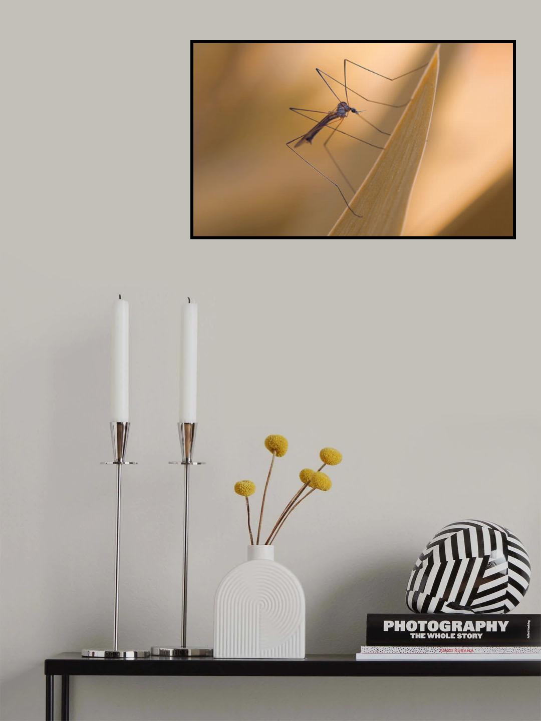 Difficult synchronization of the legs... Poster och Canvastavla