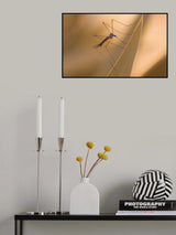 Difficult synchronization of the legs... Poster och Canvastavla