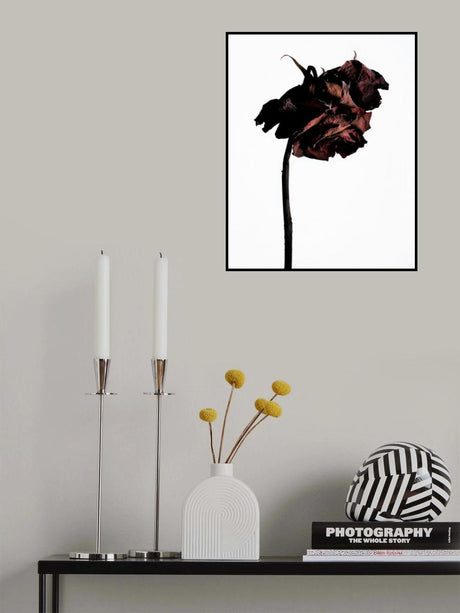 dried flower Poster och Canvastavla
