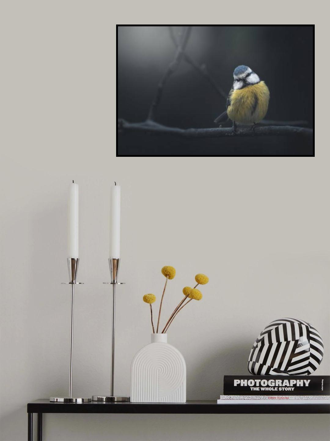 Blue Tit Poster och Canvastavla