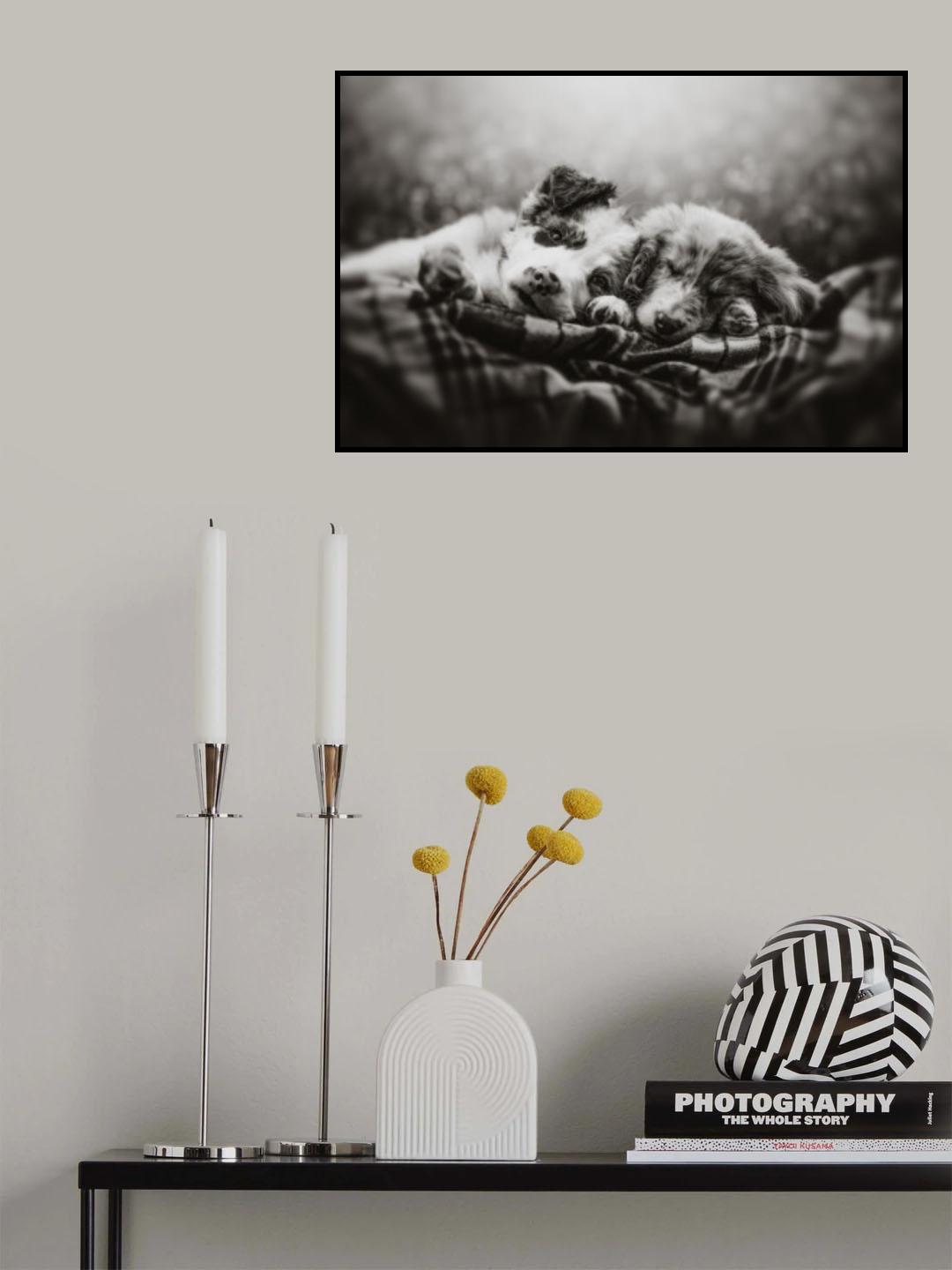 Slumber party Poster och Canvastavla