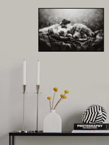Slumber party Poster och Canvastavla