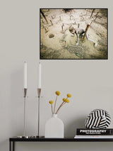 Child of Mundari tribe Poster och Canvastavla