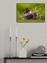 hunt Poster och Canvastavla