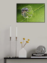 At the window Poster och Canvastavla