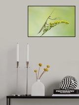 That way! Poster och Canvastavla