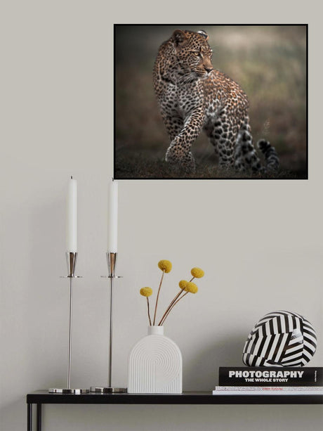 Surprise Poster och Canvastavla