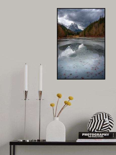 The twins Poster och Canvastavla