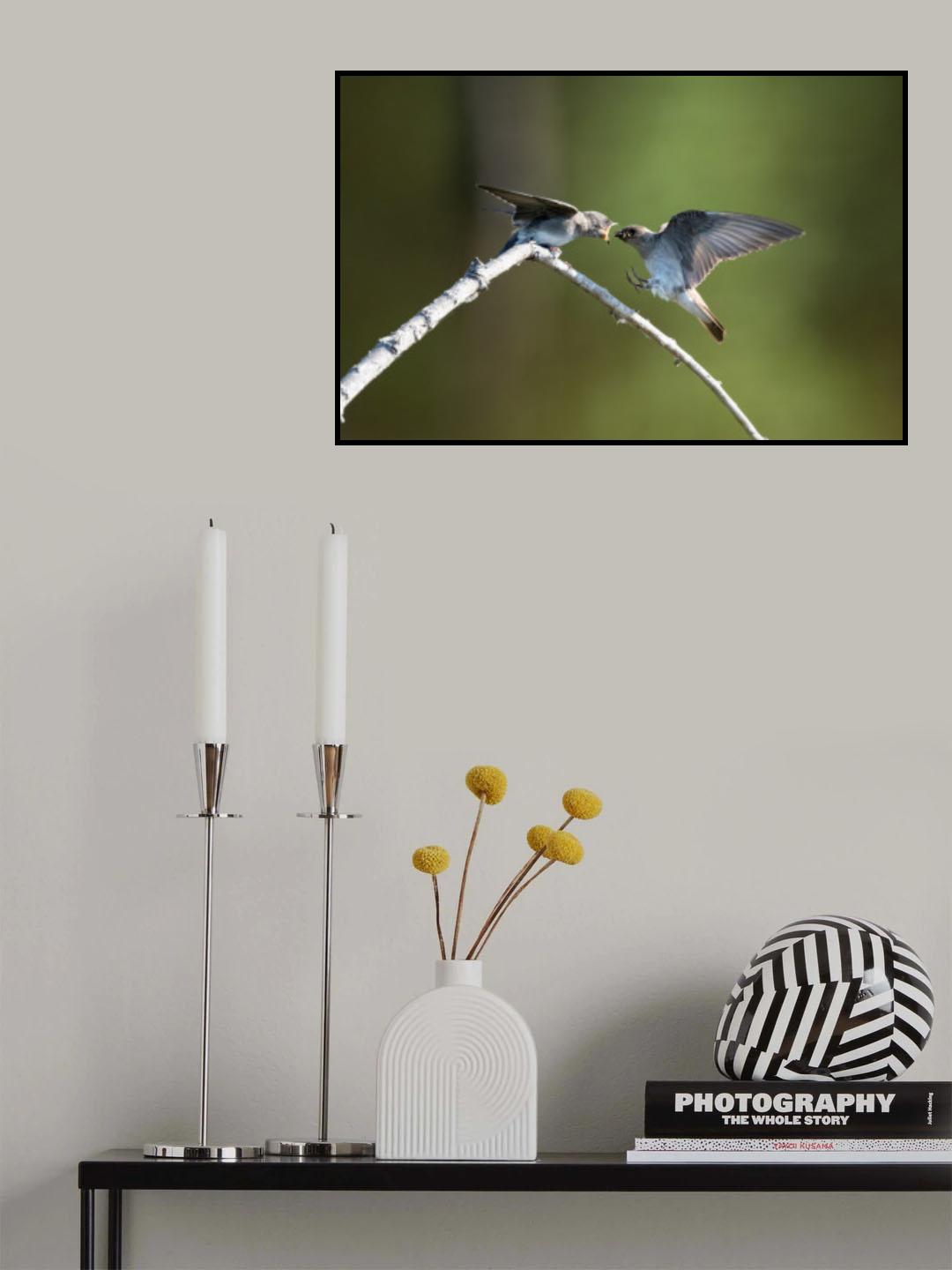 Feeding Poster och Canvastavla
