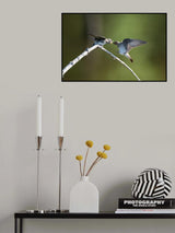 Feeding Poster och Canvastavla