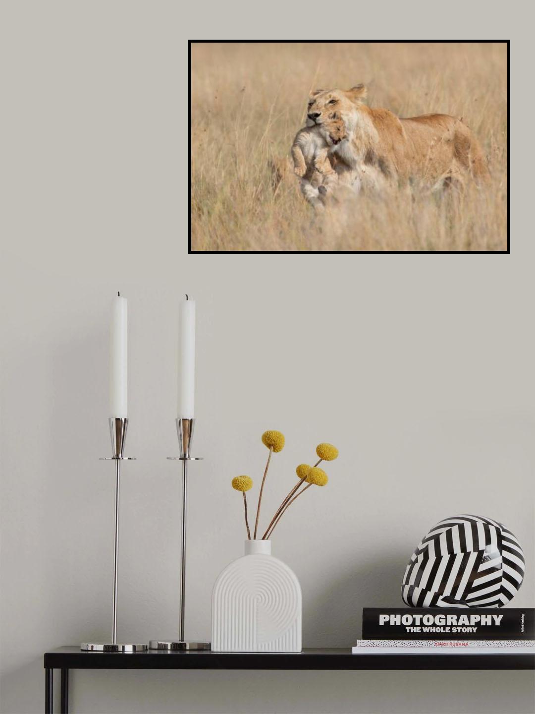 Mother Lioness Poster och Canvastavla