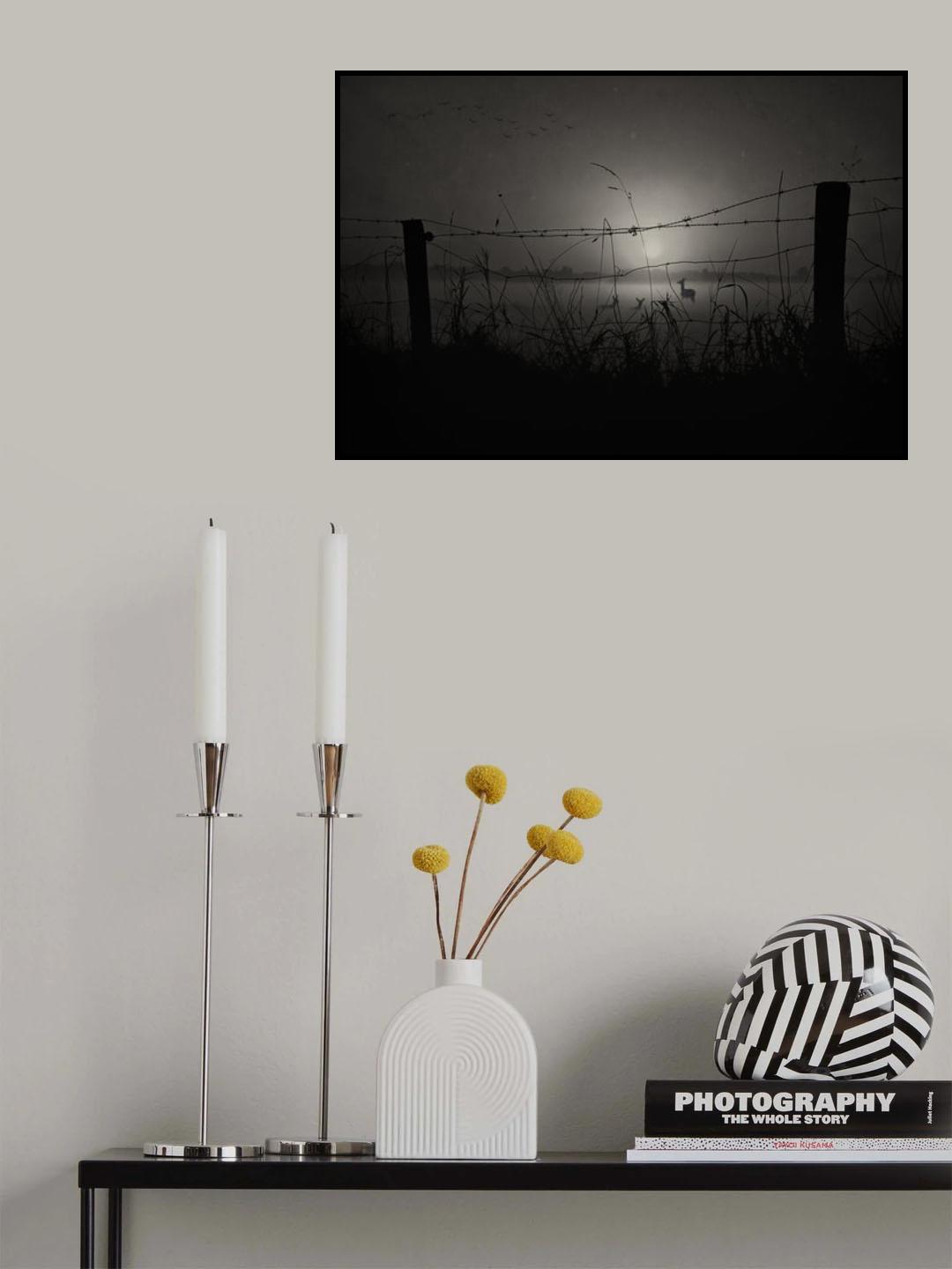 Brand new day.......... Poster och Canvastavla