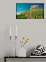 cherry blossoms on the hill Poster och Canvastavla