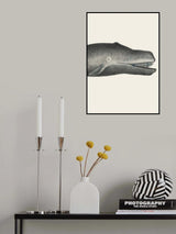 Whale Ii Tight Crop Handcolored Sealife Lithograph 1824 Poster och Canvastavla