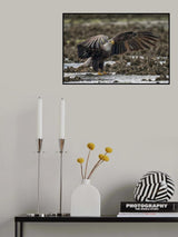 Spread Poster och Canvastavla