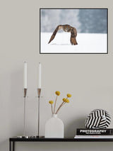 Eurasian eagle-owl Poster och Canvastavla