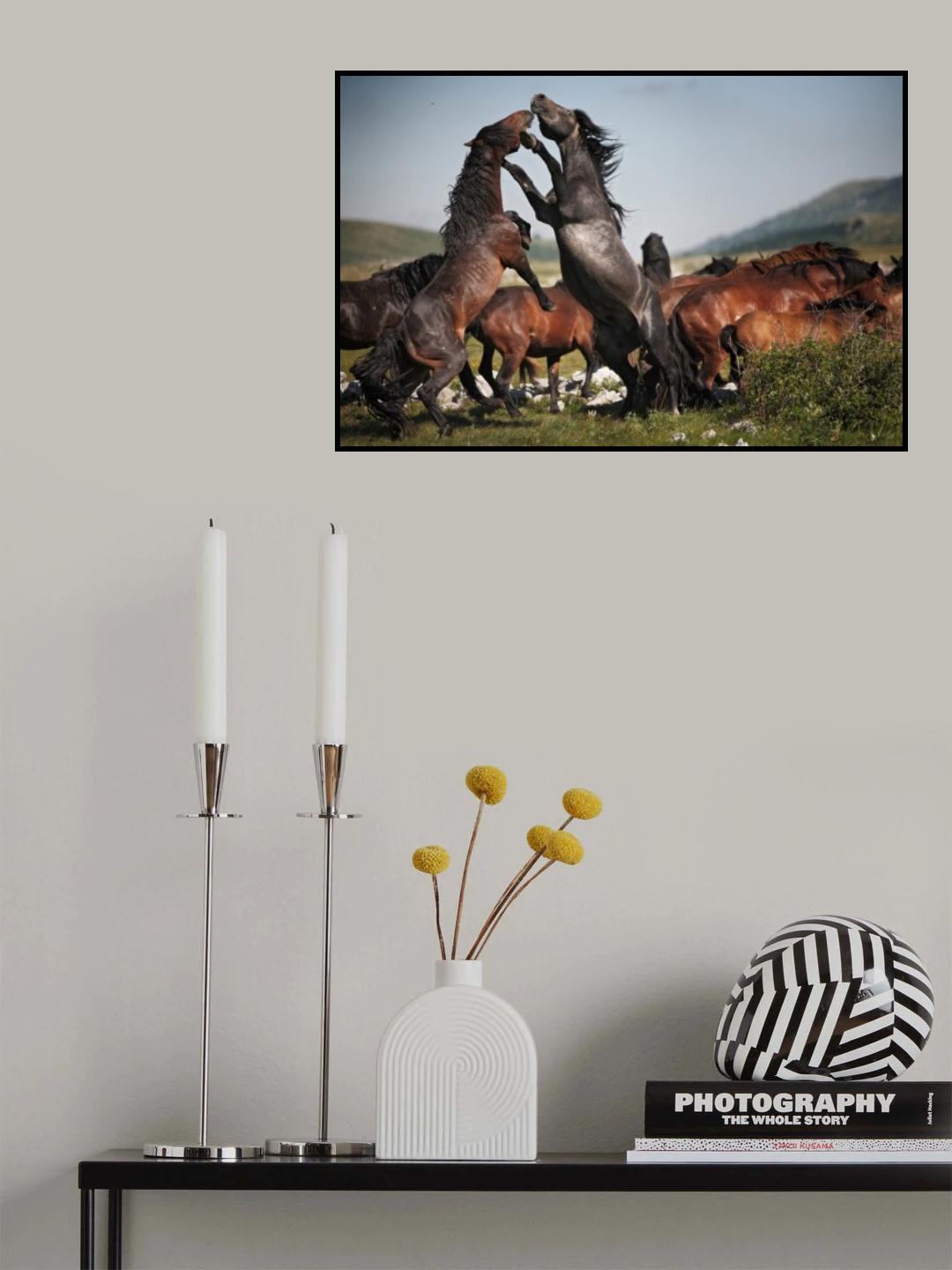 wild horses Poster och Canvastavla