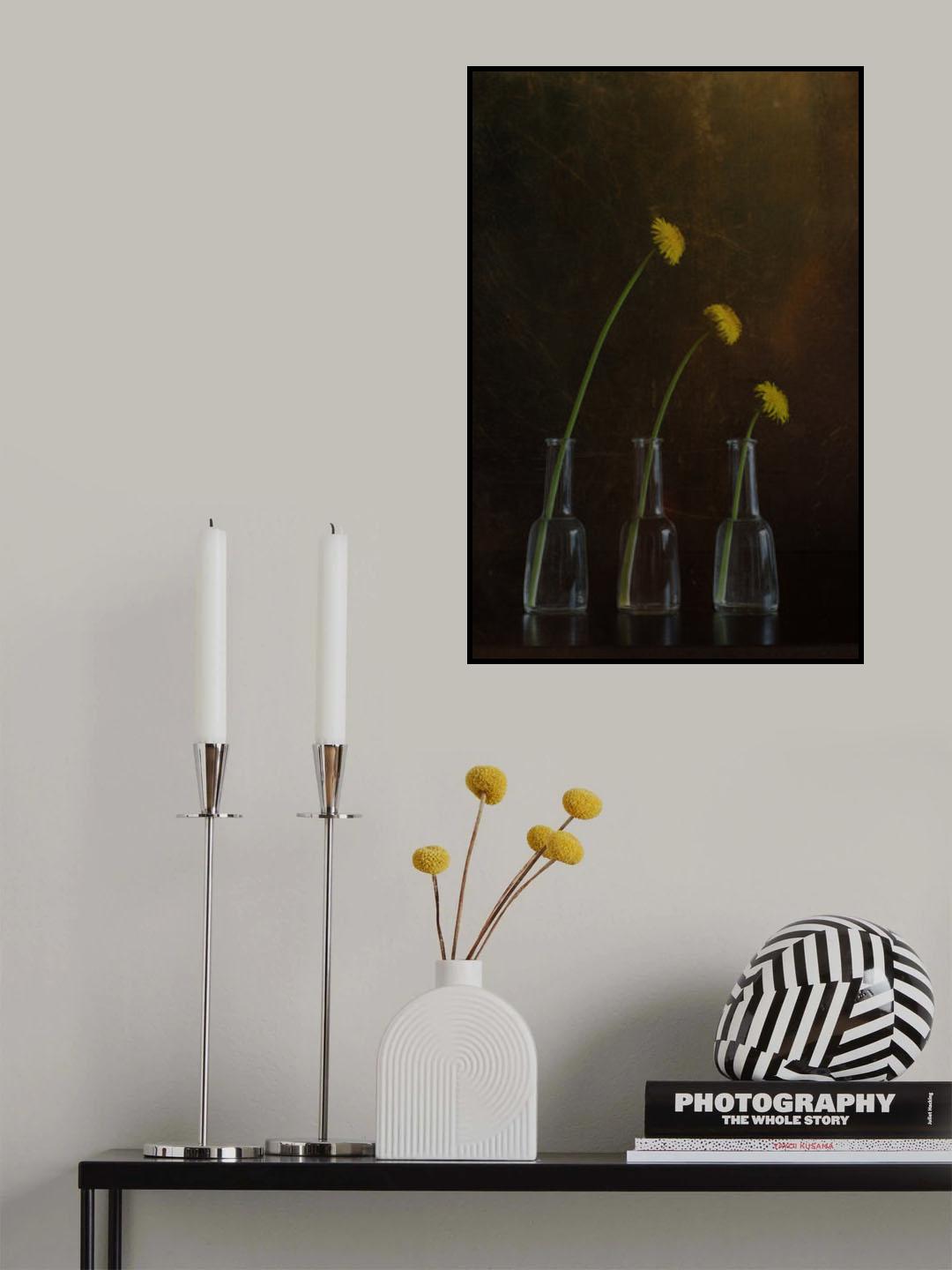 Dandelion family 2 Poster och Canvastavla
