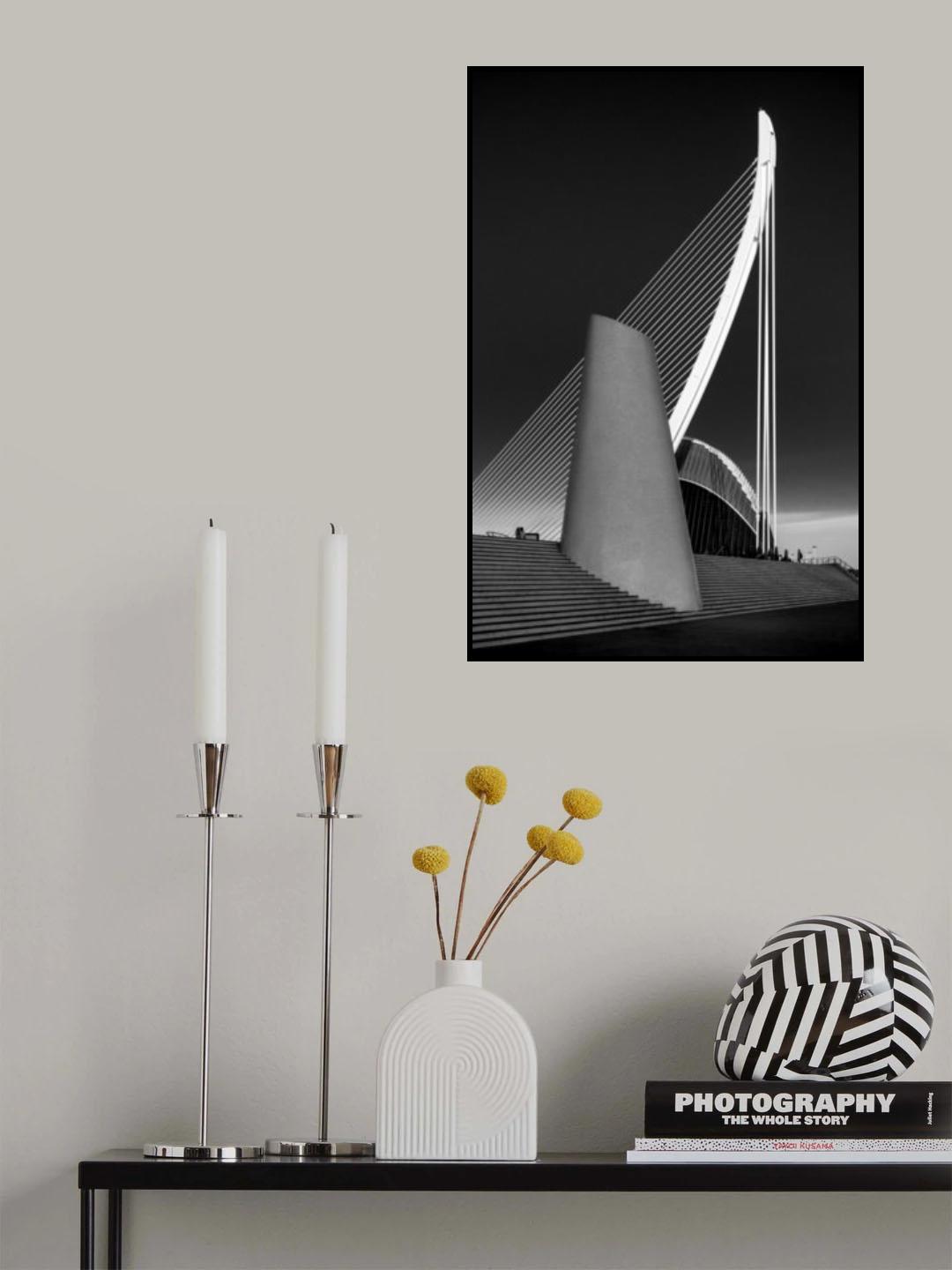 The harp Poster och Canvastavla