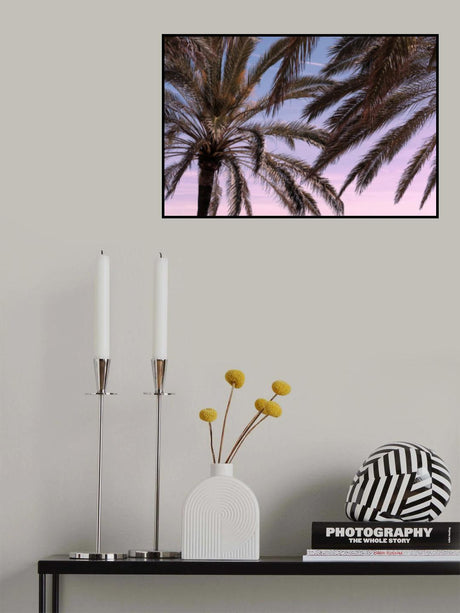 Palm_012 Poster och Canvastavla