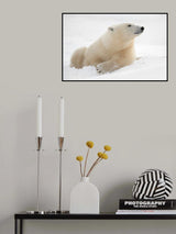 There's something in the air Poster och Canvastavla