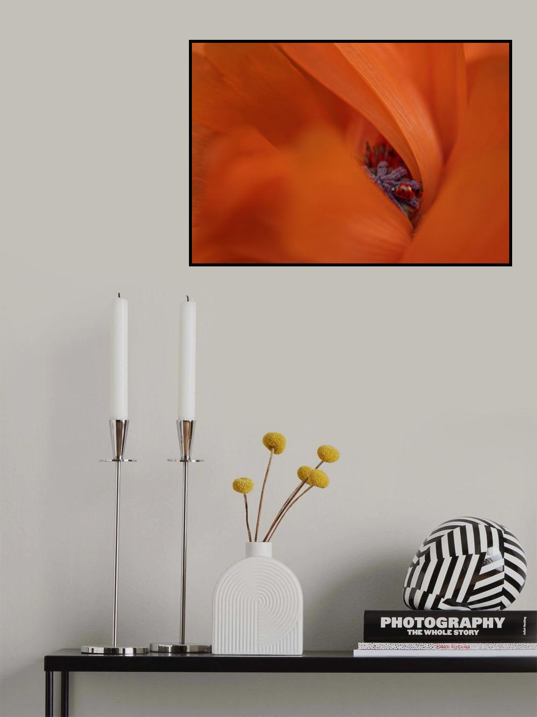 Ladybug in Poppy Poster och Canvastavla