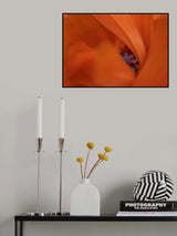 Ladybug in Poppy Poster och Canvastavla