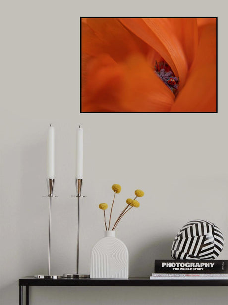 Ladybug in Poppy Poster och Canvastavla