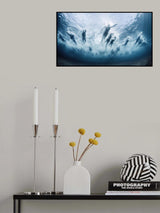 Swim Poster och Canvastavla