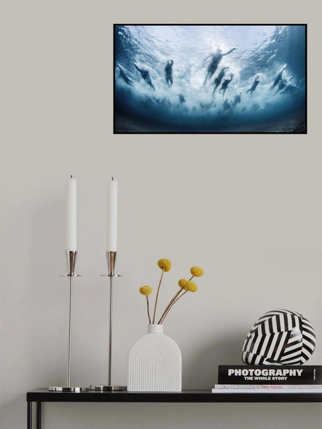 Swim Poster och Canvastavla