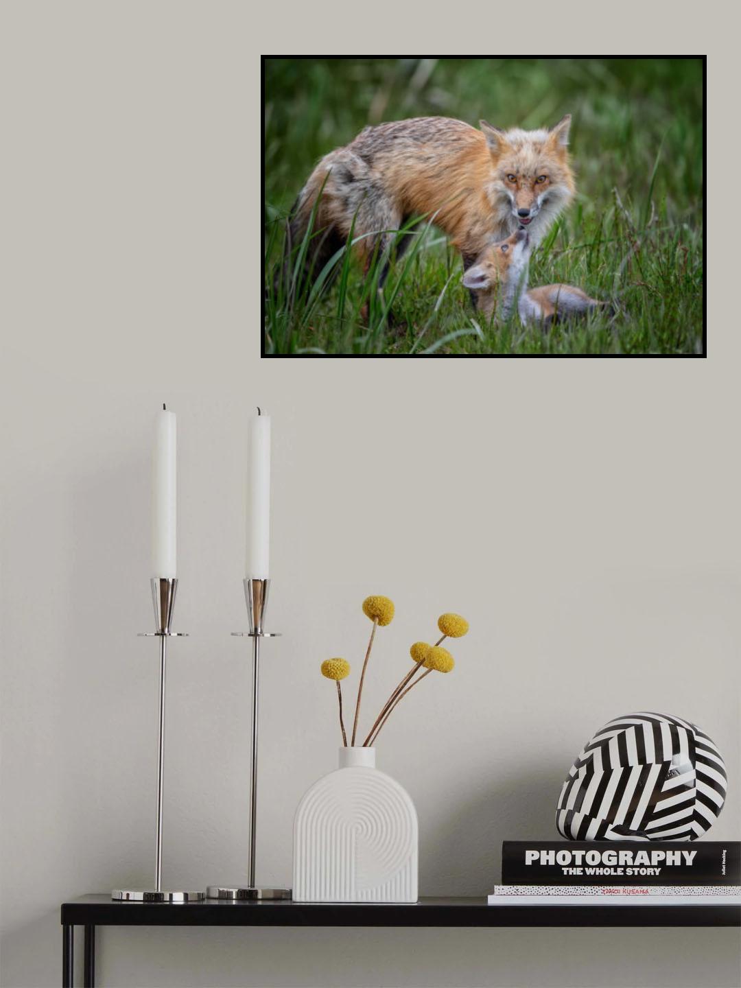 Love Poster och Canvastavla